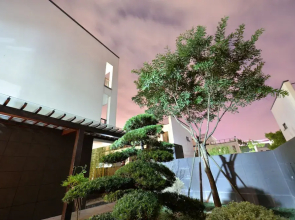 Wuzhen Wangfu Resort Villa