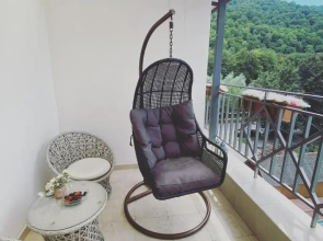 Sunny Apartment Dilijan