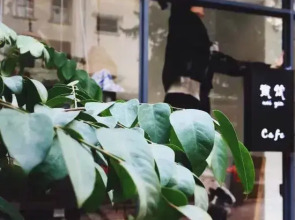 Neighbor 6 Youth Hostel