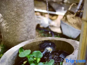Tianjin Shujian Jiuli Homestay