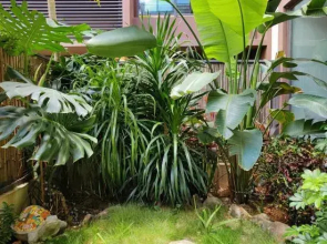 Stone courtyard