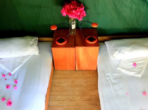 Distant Relatives Ecolodge & Backpackers
