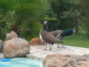 Chalet La Serena
