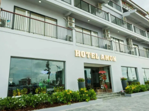 Hotel Amon