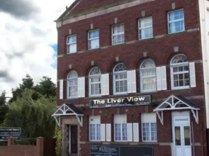The Liver View