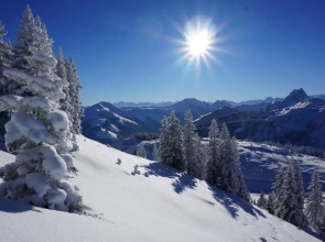 Apartment Neuhaushof