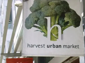 Harrison Street San Francisco Suite D