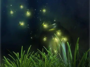 Santorini Family Themed Inn