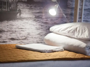 Лебедушка на Достоевского