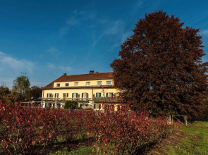 Numa Salzburg Ivy