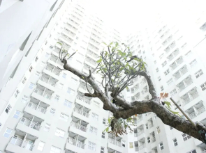 Comfy And Relax 1Br Apartment At Parahyangan Residence Near Unpar
