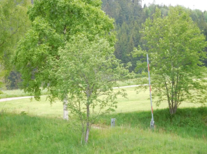 Ferienhaus Grafenhausen