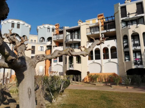 Appartement Port Barcarès, 2 pièces, 4 personnes - FR-1-195-6