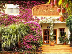 Chabil Mar Luxury Villas - Guest Exclusive Beach Resort