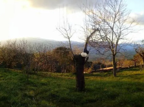 Casavacanze La Vigna