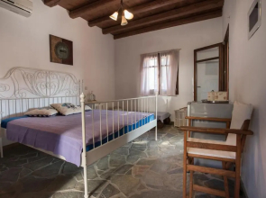 2AG252-House with a pool in Andros
