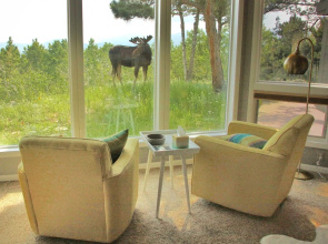 Mountain Views + Hot Tub: Airy Forest Escape!