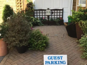 Forest B & B