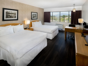 Cassandra Hotel