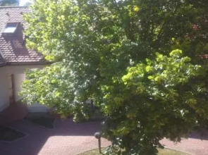 Apartment Nagelj