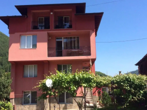 Vasilevi House