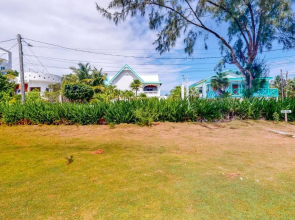 Almond Tree 3 at Island Cabanas Gold Standard Certified