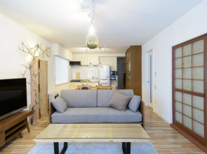 HH:Japanese Modern House