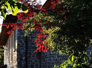 Holiday Home Pratovecchio (AR) with Fireplace I