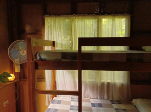 Lazy Lizard Hostel