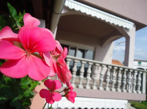 Familly Home Sikiric