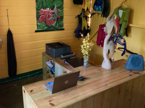 T-Bird on the Cliffs