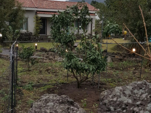 Supgol Pension