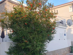 Apartmani Sara Marija