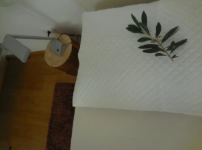 Olive Tree House