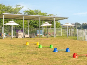 Yeosu Canada meo Village pet Pension