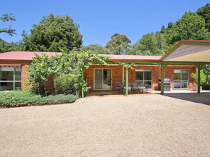 The Magazine