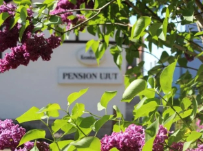 Pension Ujut