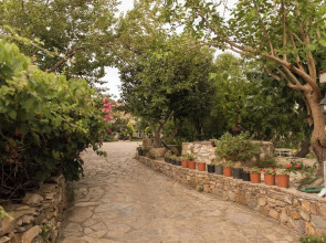 Poyraz Bağ Evleri