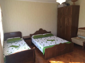 Gostevoj dom El'vira