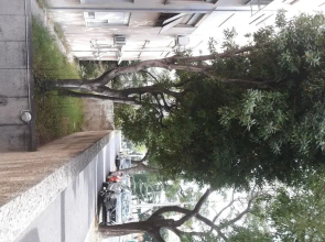 Apartment Marino