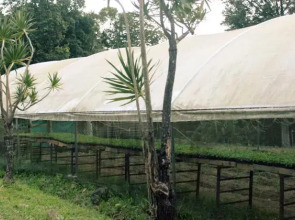 D-Smart Farm