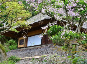 Izu Nagaoka-Onsen Hotel Kona Besso