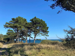 16 Person Holiday Home in Vejby