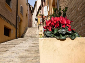 La Casetta - Casa Indipendente nel centro storico