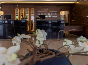 Anemon Kent Ankara Otel