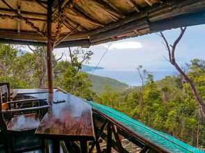 Bamboo house
