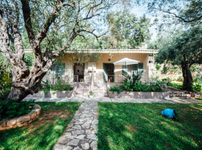 Direne Bungalows