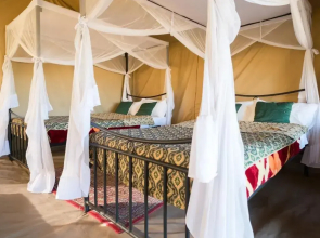 Serengeti Wildebeest Camp