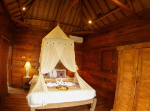 Belvilla Moksha Ceking Rice TerraceNearUbud Jungle Swing