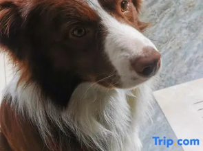 Nyingchi Gumeng Yebo Inn